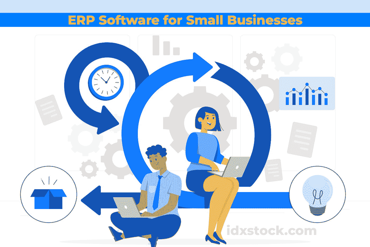 ERP Software for Small Businesses