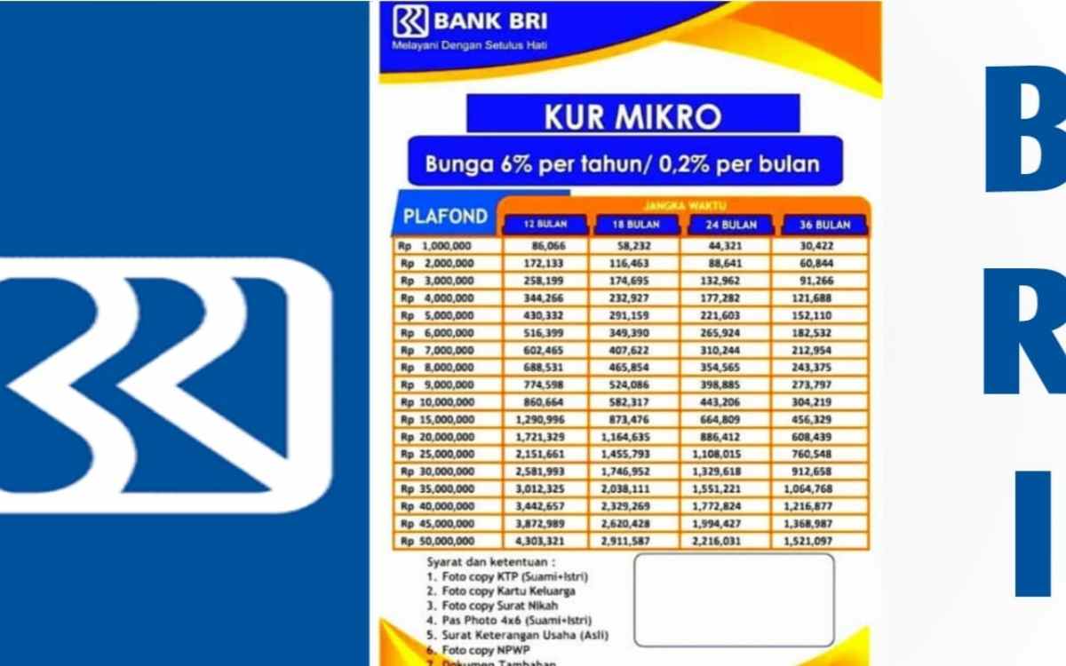 cara lolos survey kur bri
